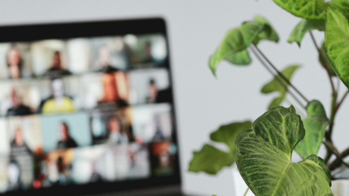 konferens på nätet